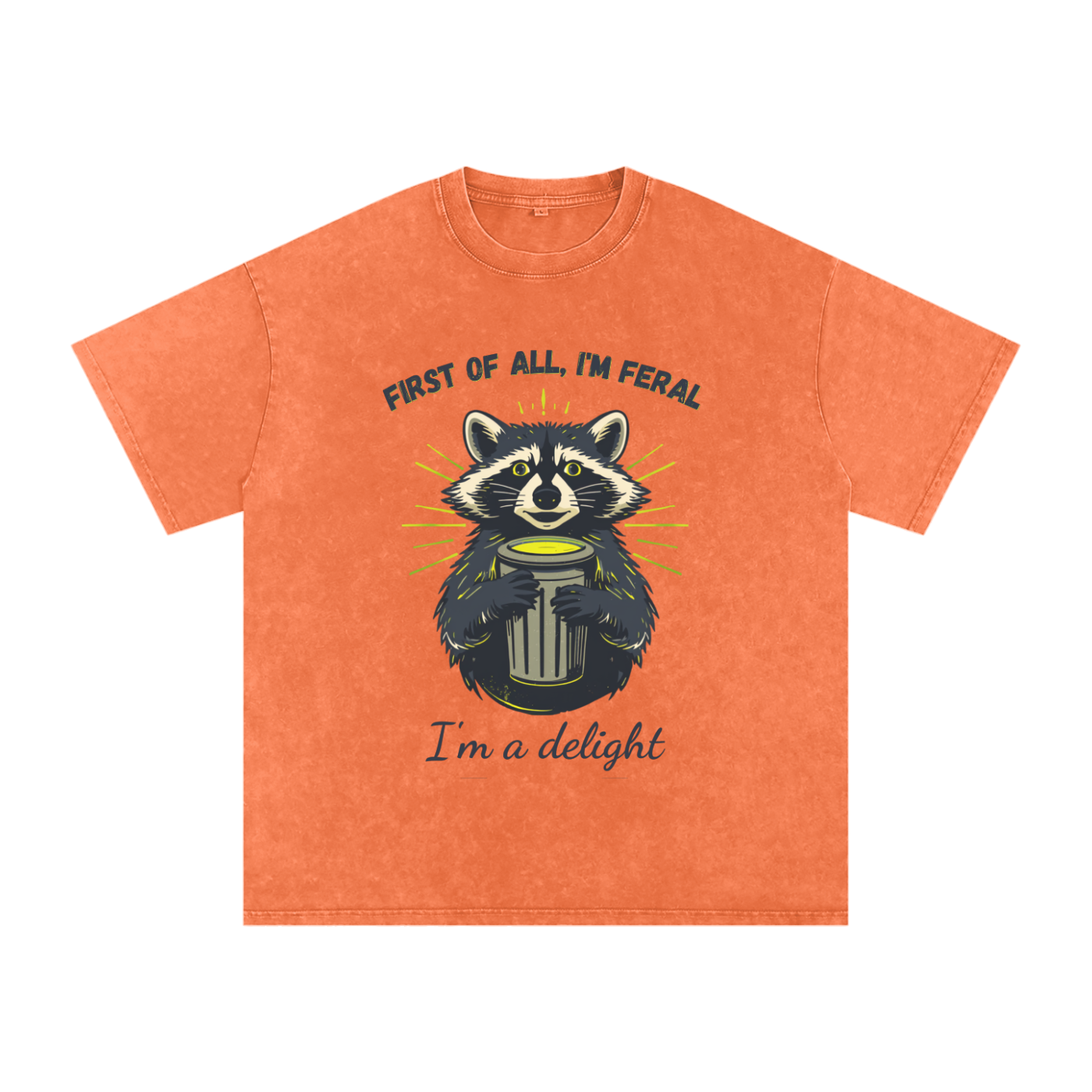 First of All I'm Feral | Raccoon Snow Washed Oversized T-Shirt