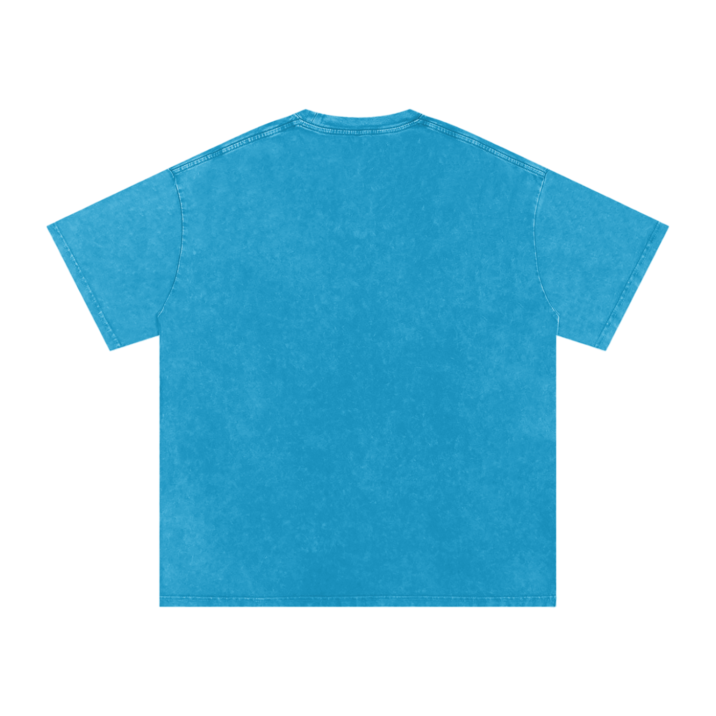 Garbage Gang | Raccoon Snow Washed Streetwear T-Shirt