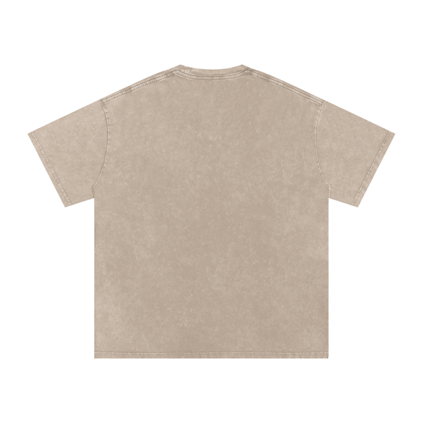 I Have Axolotl Questions | Cute Animal Oversized Washed T-Shirt