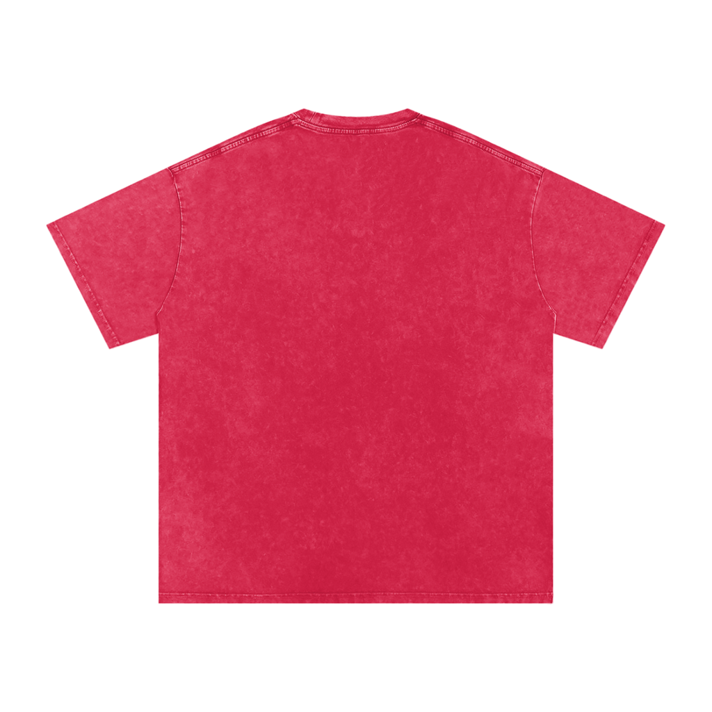 I Have Axolotl Questions | Cute Animal Oversized Washed T-Shirt