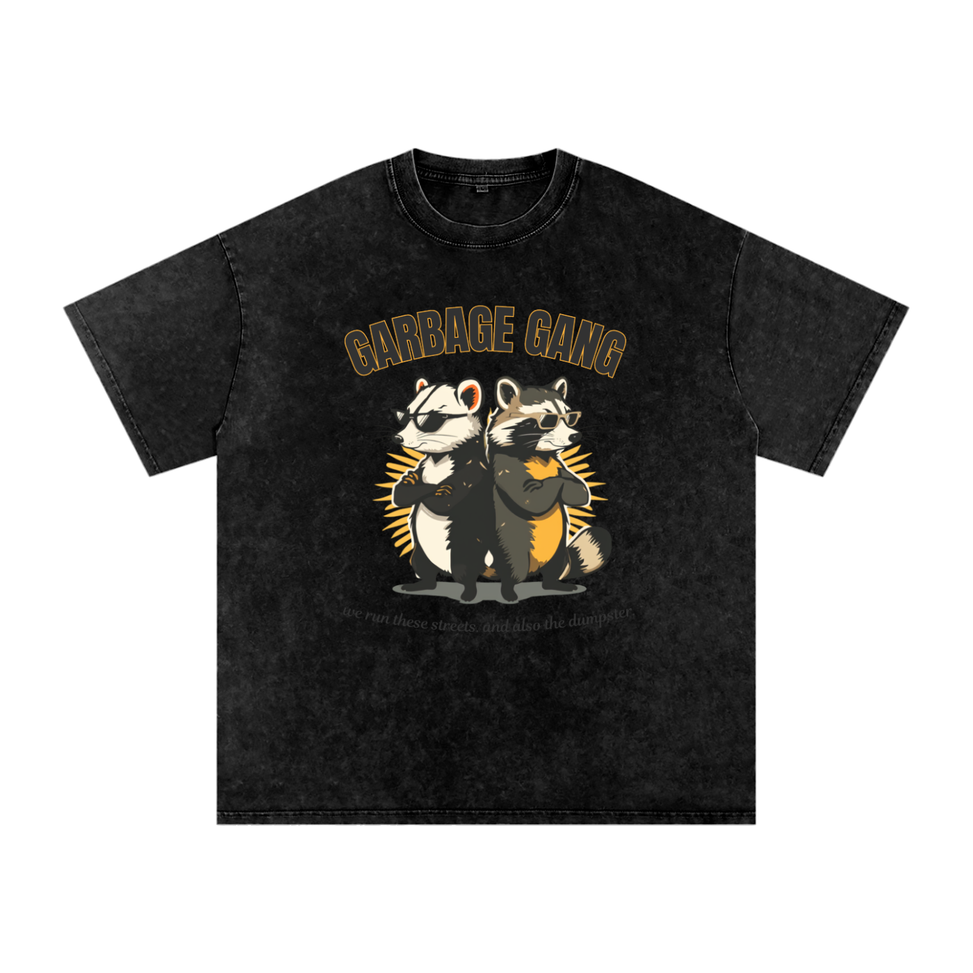 Garbage Gang | Raccoon Snow Washed Streetwear T-Shirt