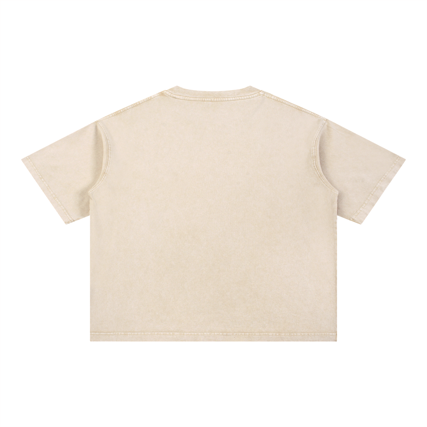 Mentally Checked Out | Funny Cat Boxy Washed T-Shirt