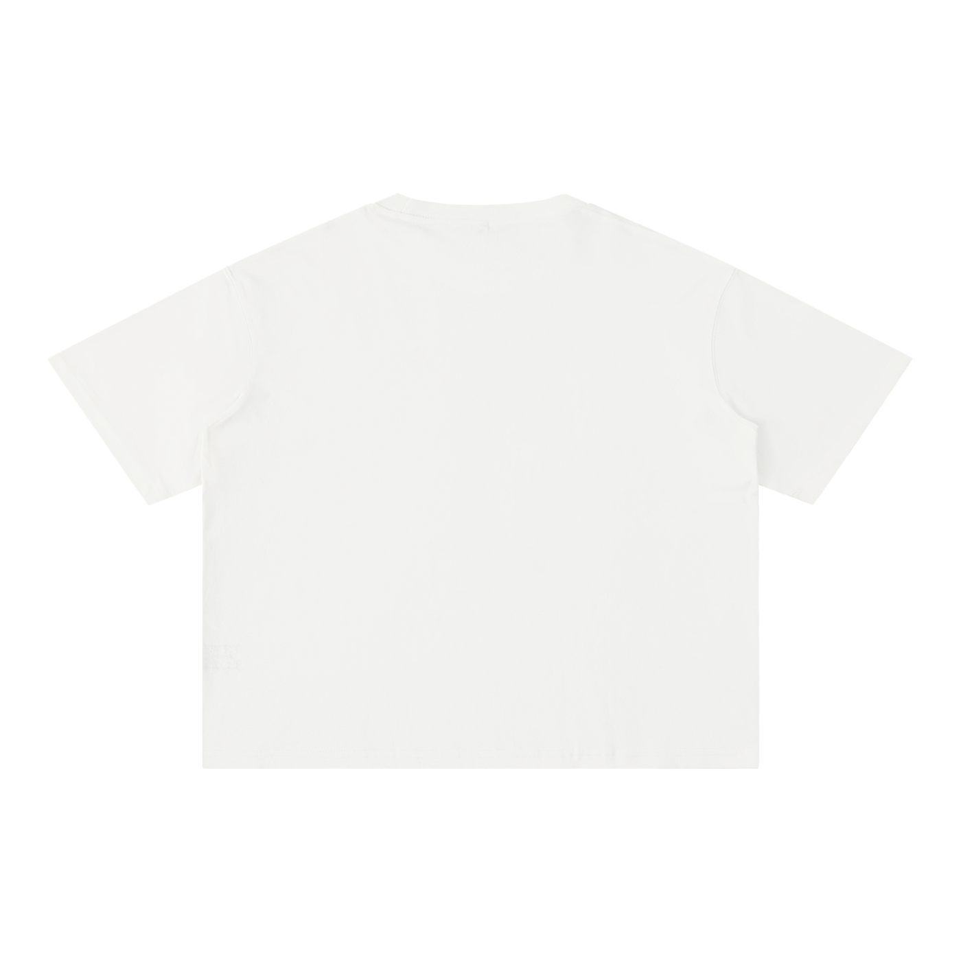 Mentally Checked Out | Funny Cat Boxy Washed T-Shirt